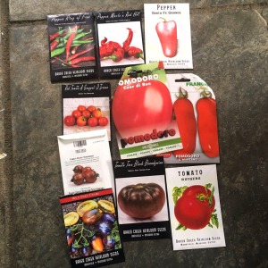 Tomato and chilli seeds