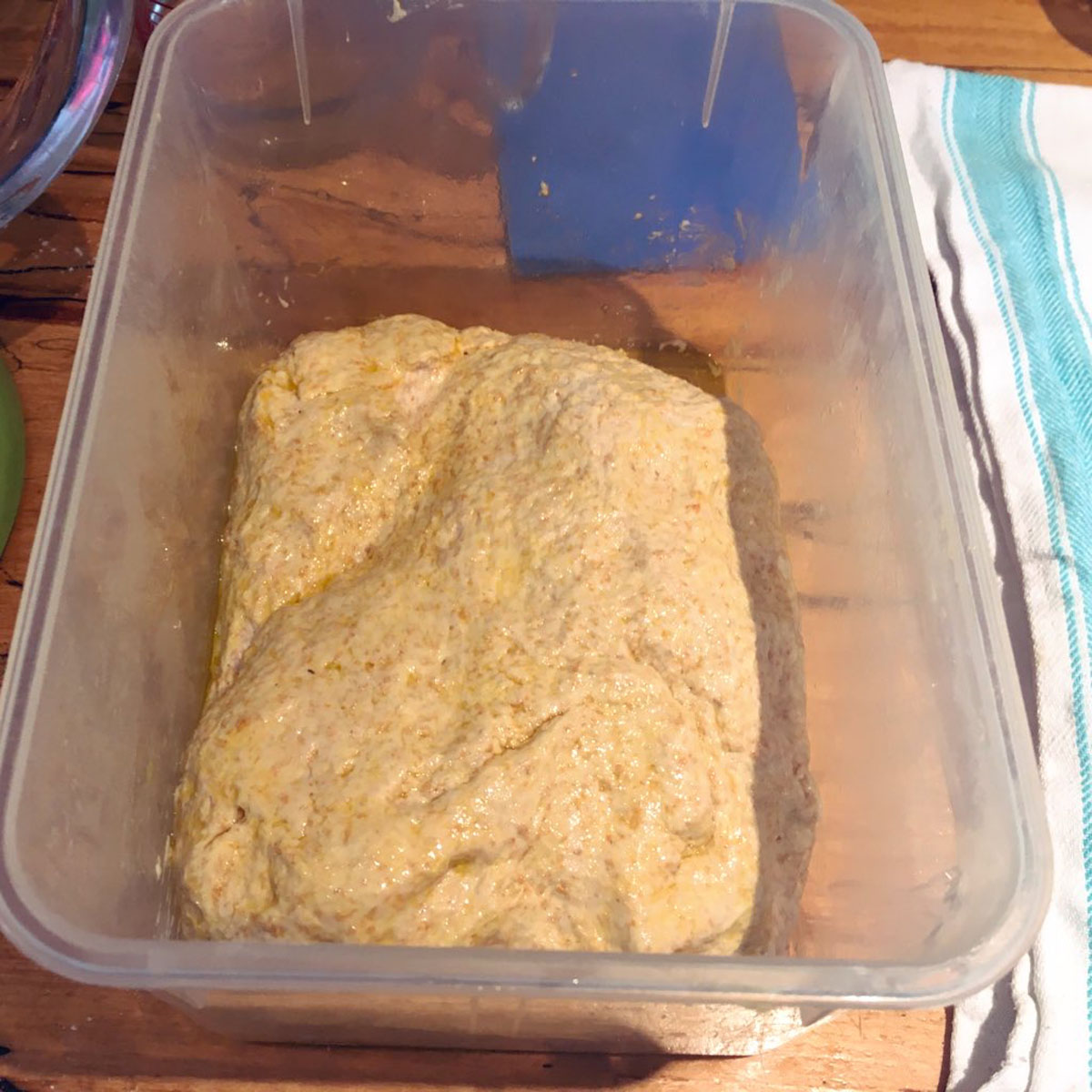 Fridge dough in tupperware container