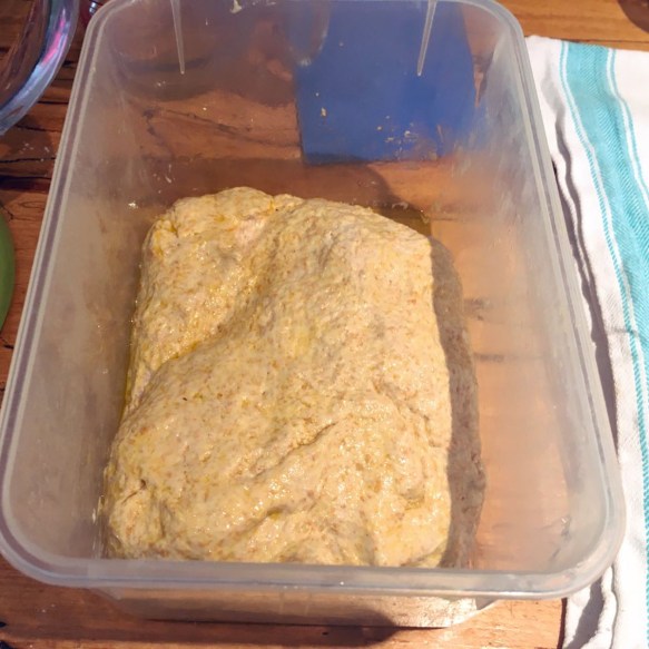 Fridge dough in tupperware container