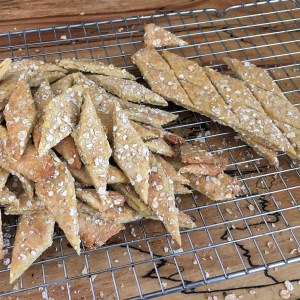 dog-biscuits-fallback_6