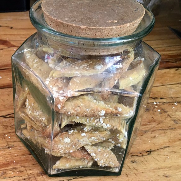 dog-biscuits-fallback_7