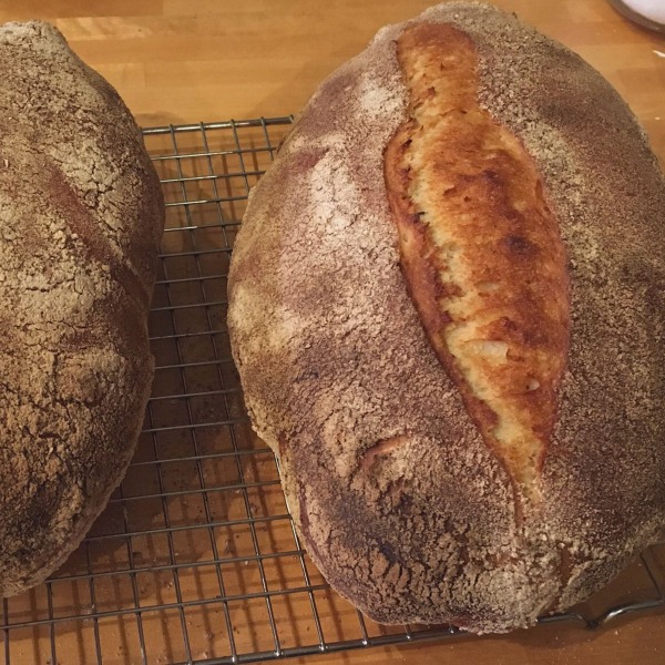 Sourdough, of course.
